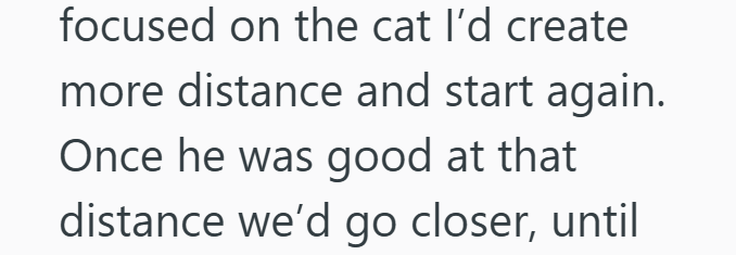 focused on the cat I'd create more distance and start again. Once he was good at that distance we'd go closer, until