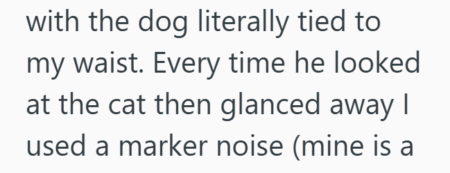 with the dog literally tied to my waist. Every time he looked at the cat then glanced away I used a marker noise (mine is a