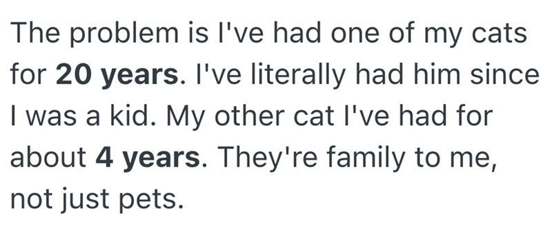 The problem is I've had one of my cats for 20 years. I've literally had him since I was a kid. My other cat I've had for about 4 years. They're family to me, not just pets.