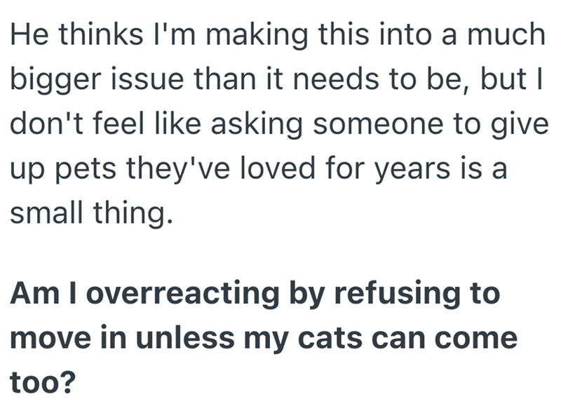 He thinks I'm making this into a much bigger issue than it needs to be, but I don't feel like asking someone to give up pets they've loved for years is a small thing. Am I overreacting by refusing to move in unless my cats can come too?