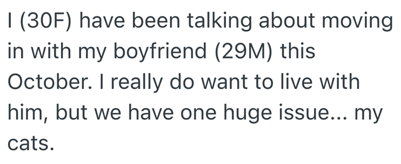I (30F) have been talking about moving in with my boyfriend (29M) this October. I really do want to live with him, but we have one huge issue... my cats.