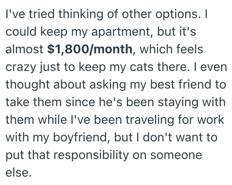 I've tried thinking of other options. I could keep my apartment, but it's almost $1,800/month, which feels crazy just to keep my cats there. I even thought about asking my best friend to take them since he's been staying with them while I've been traveling for work with my boyfriend, but I don't want to put that responsibility on someone else.