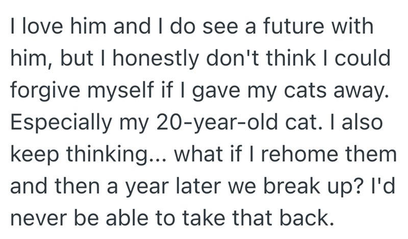 I love him and I do see a future with him, but I honestly don't think I could forgive myself if I gave my cats away. Especially my 20-year-old cat. I also keep thinking... what if I rehome them and then a year later we break up? I'd never be able to take that back.