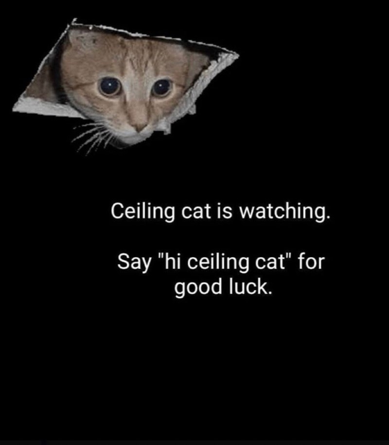 Ceiling cat is watching. Say "hi ceiling cat" for good luck.