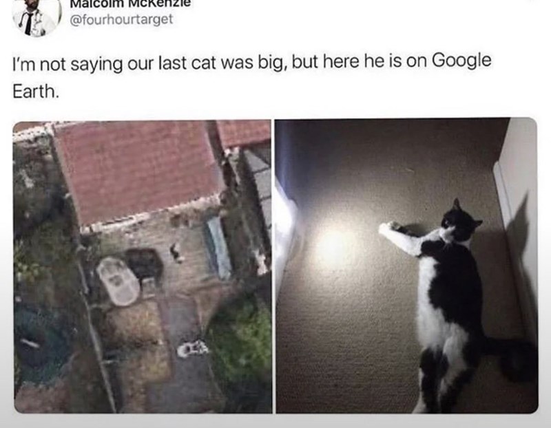 Malcolm @fourhourtarget I'm not saying our last cat was big, but here he is on Google Earth.
