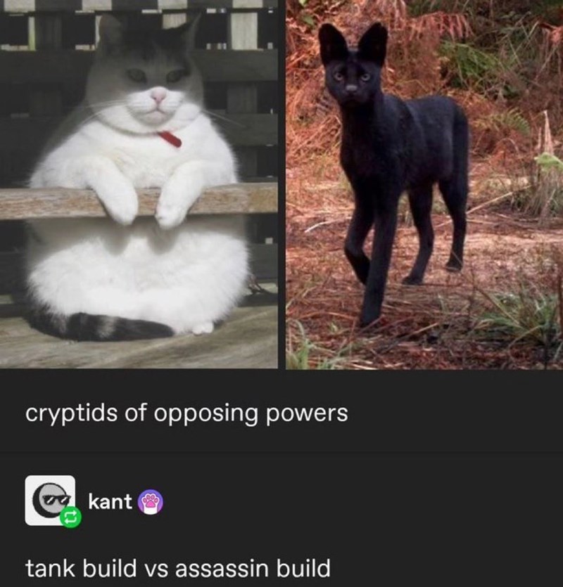 cryptids of opposing powers kant tank build vs assassin build