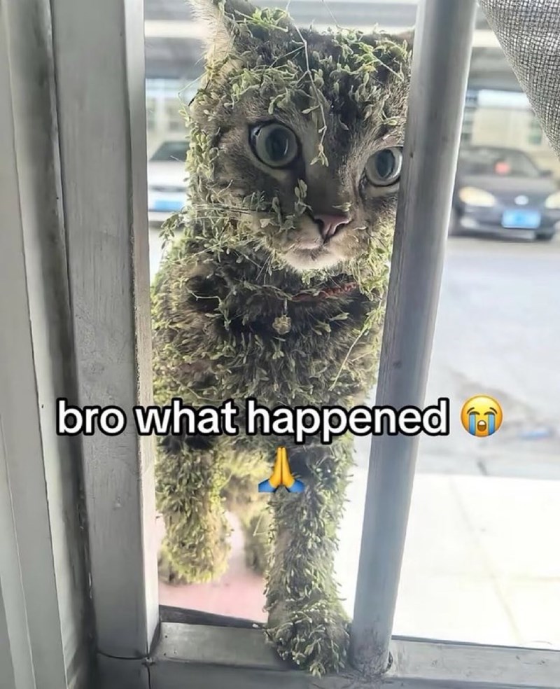 bro what happened