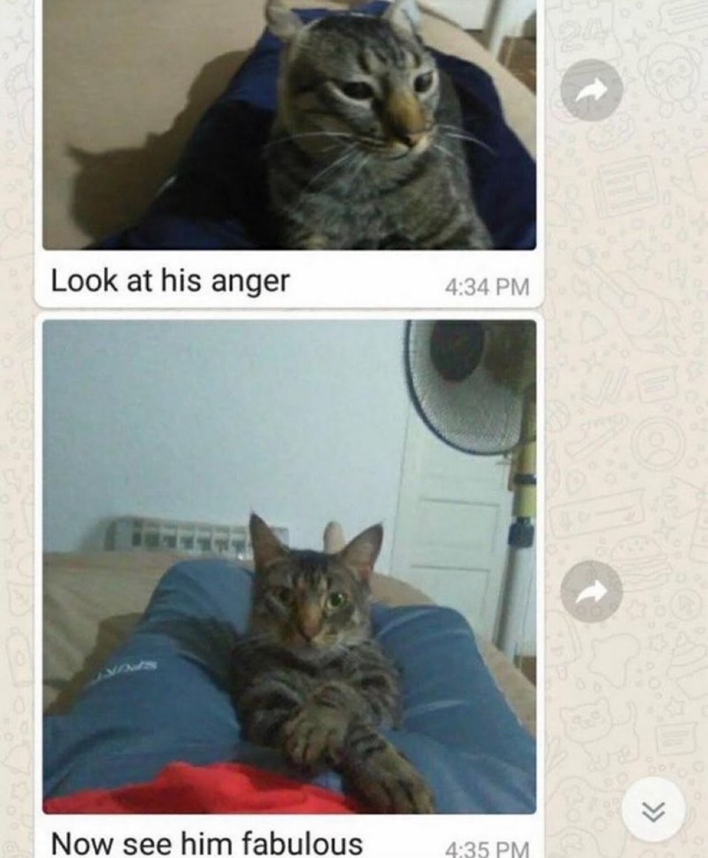 24 Look at his anger 4:34 PM Now see him fabulous 4:35 PM >>>
