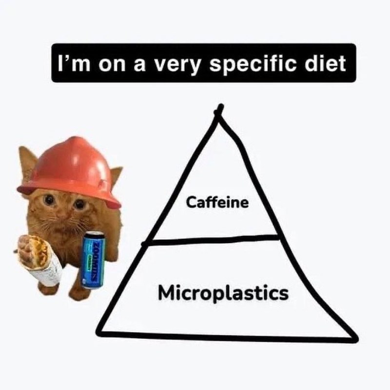 I'm on a very specific diet ZOOMIES EXENCY Caffeine Microplastics