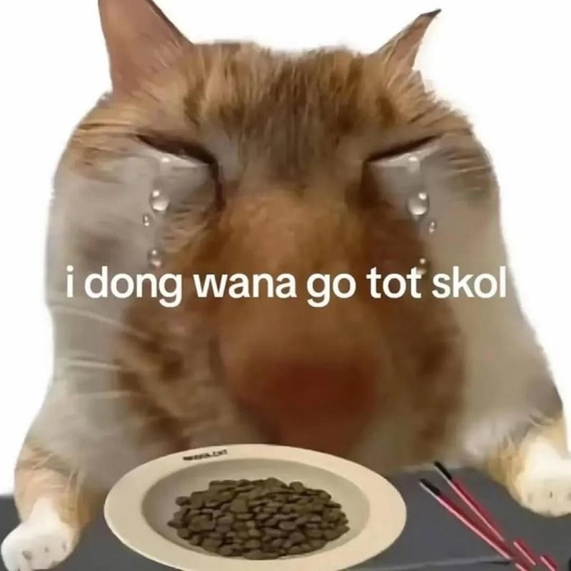 i dong wana go tot skol