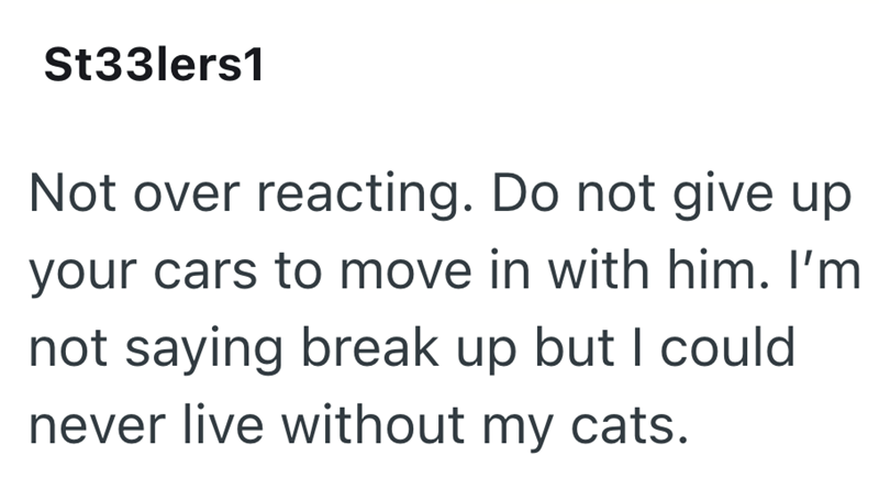 St33lers1 Not over reacting. Do not give up your cars to move in with him. I'm not saying break up but I could never live without my cats.