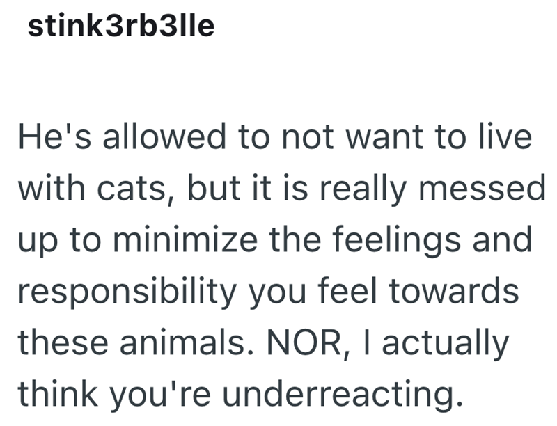 stink3rb3lle He's allowed to not want to live with cats, but it is really messed up to minimize the feelings and responsibility you feel towards these animals. NOR, I actually think you're underreacting.