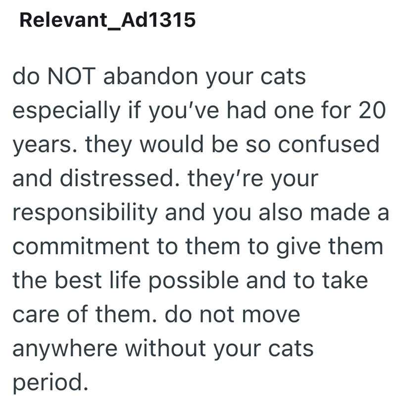 Relevant Ad1315 do NOT abandon your cats especially if you've had one for 20 years. they would be so confused and distressed. they're your responsibility and you also made a commitment to them to give them the best life possible and to take care of them. do not move anywhere without your cats period.