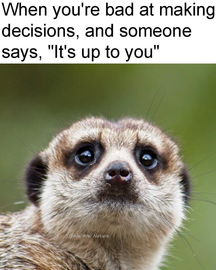 When you're bad at making decisions, and someone says, "It's up to you" @We Are Nature