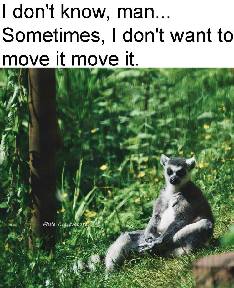 I don't know, man... Sometimes, I don't want to move it move it. @We Are Nature