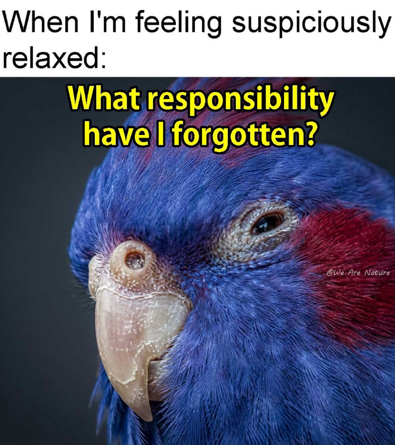 When I'm feeling suspiciously relaxed: What responsibility have I forgotten? @We Are Nature