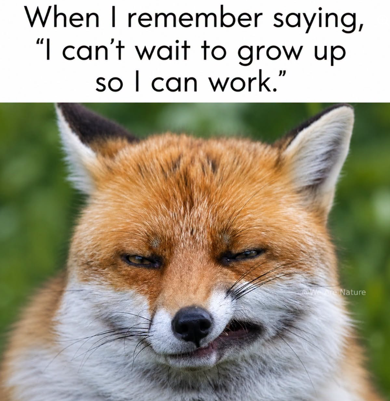 When I remember saying, "I can't wait to grow up so I can work." @We Are Nature