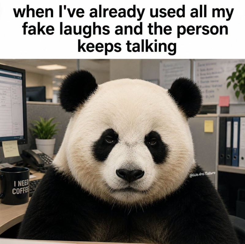 when I've already used all my fake laughs and the person keeps talking I NEED COFFEE @We Are Nature