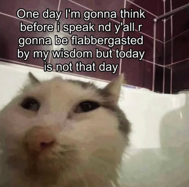 One day I'm gonna think before i speak nd y'all r gonna be flabbergasted by my wisdom but today is not that day
