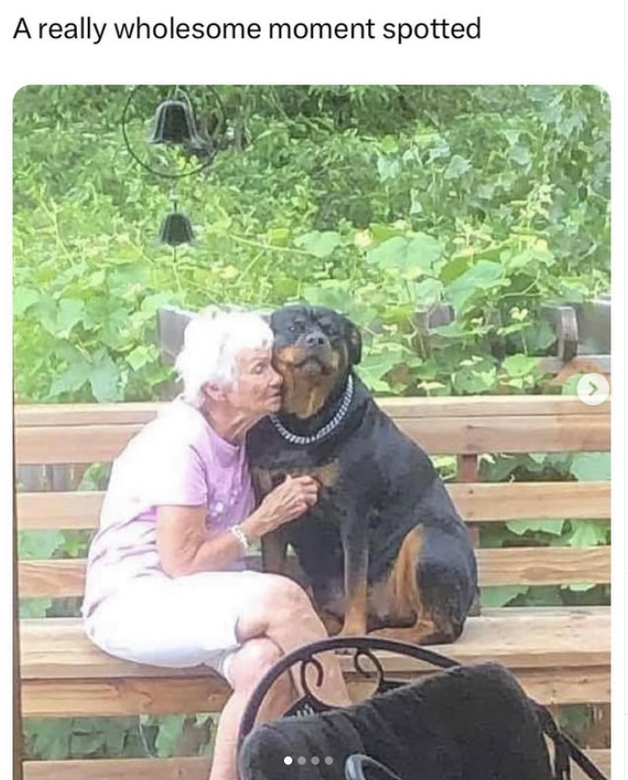 A really wholesome moment spotted >