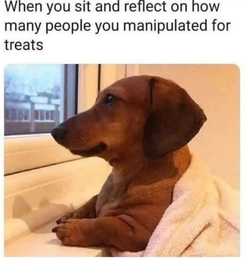 When you sit and reflect on how many people you manipulated for treats