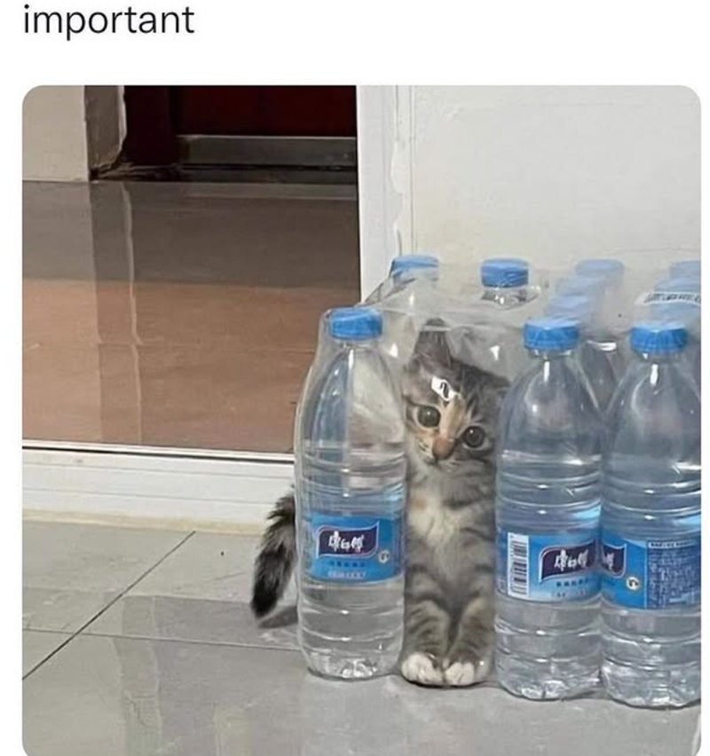 important 9