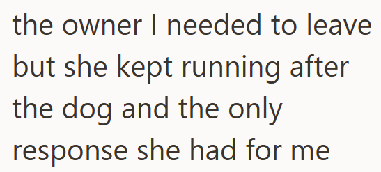 the owner I needed to leave but she kept running after the dog and the only response she had for me