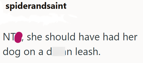 spiderandsaint NT, she should have had her dog on a din leash.