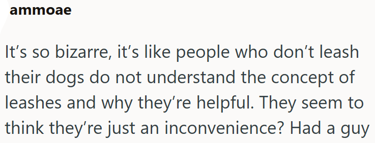 ammoae It's so bizarre, it's like people who don't leash their dogs do not understand the concept of leashes and why they're helpful. They seem to think they're just an inconvenience? Had a guy