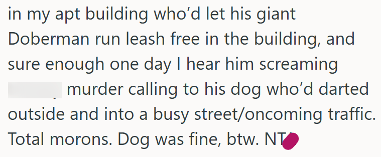 in my apt building who'd let his giant Doberman run leash free in the building, and sure enough one day I hear him screaming murder calling to his dog who'd darted outside and into a busy street/oncoming traffic. Total morons. Dog was fine, btw. NT