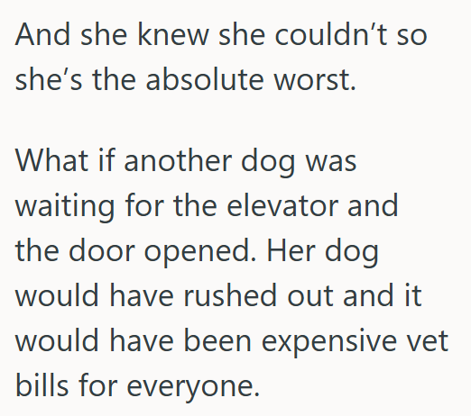 And she knew she couldn't so she's the absolute worst. What if another dog was waiting for the elevator and the door opened. Her dog would have rushed out and it would have been expensive vet bills for everyone.
