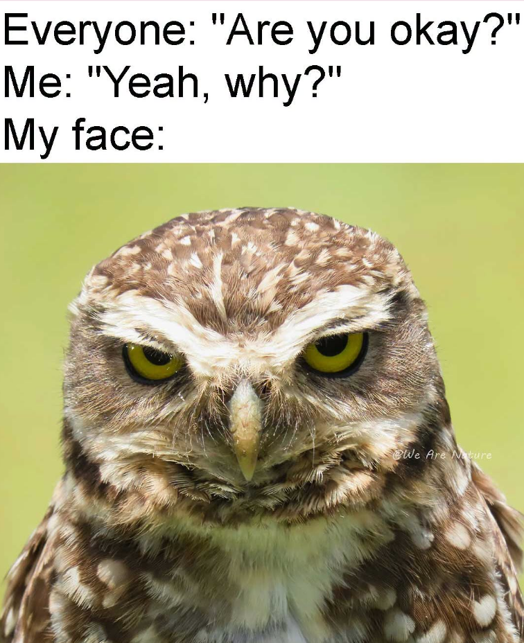 Everyone: "Are you okay?" Me: "Yeah, why?" My face: We Are Nature