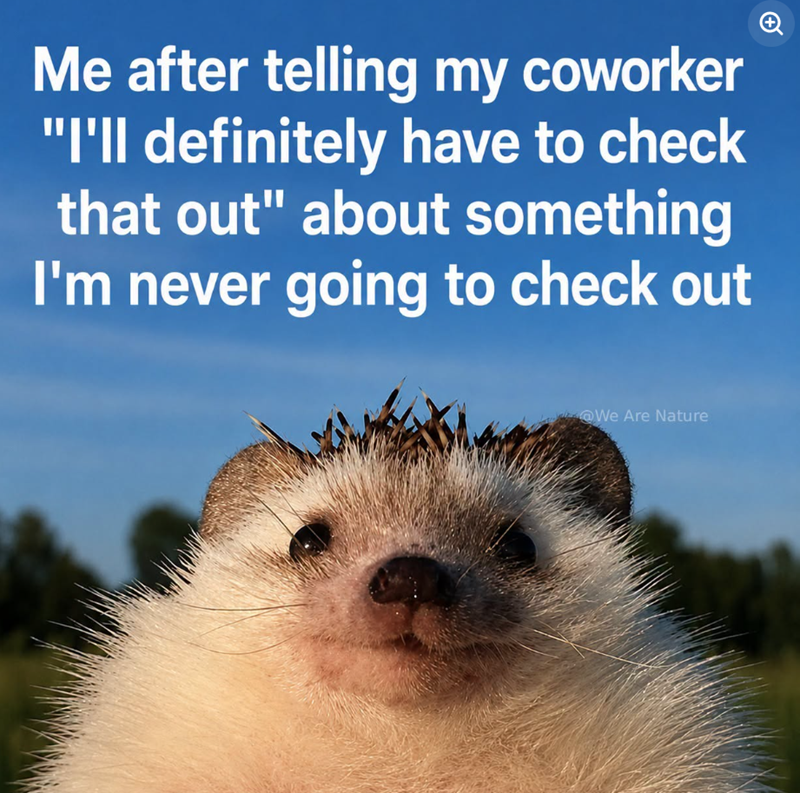 Me after telling my coworker "I'll definitely have to check that out" about something I'm never going to check out @We Are Nature