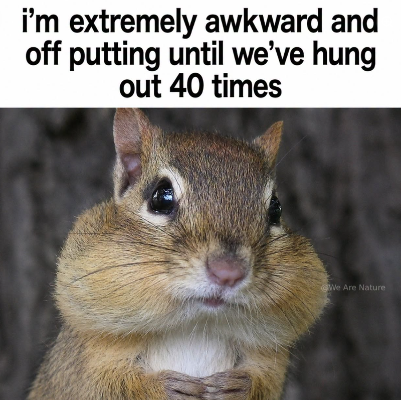 i'm extremely awkward and off putting until we've hung out 40 times @We Are Nature