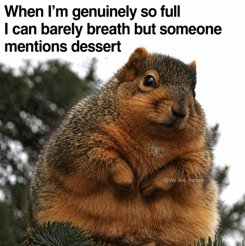When I'm genuinely so full I can barely breath but someone mentions dessert @We Are Nature