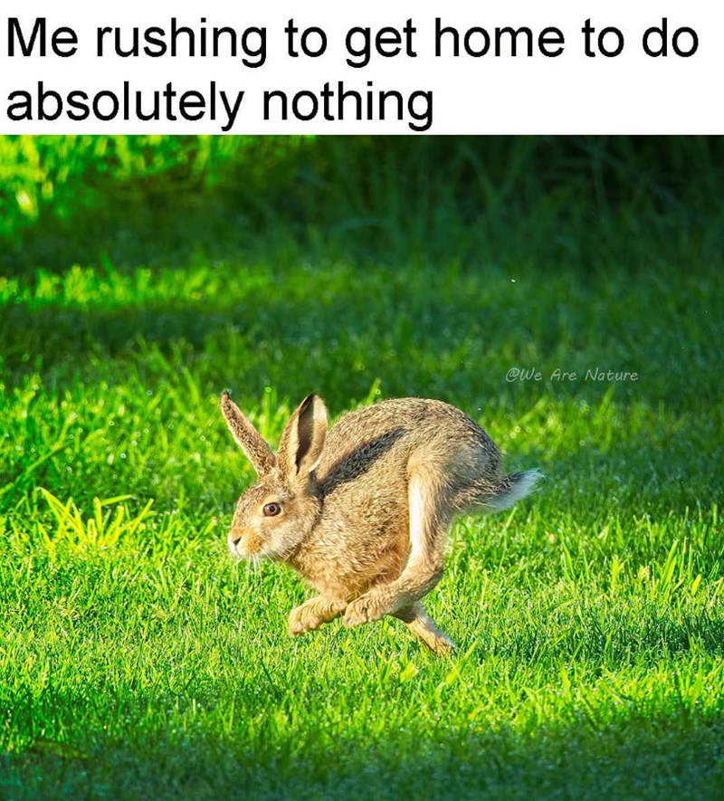 Me rushing to get home to do absolutely nothing @We Are Nature