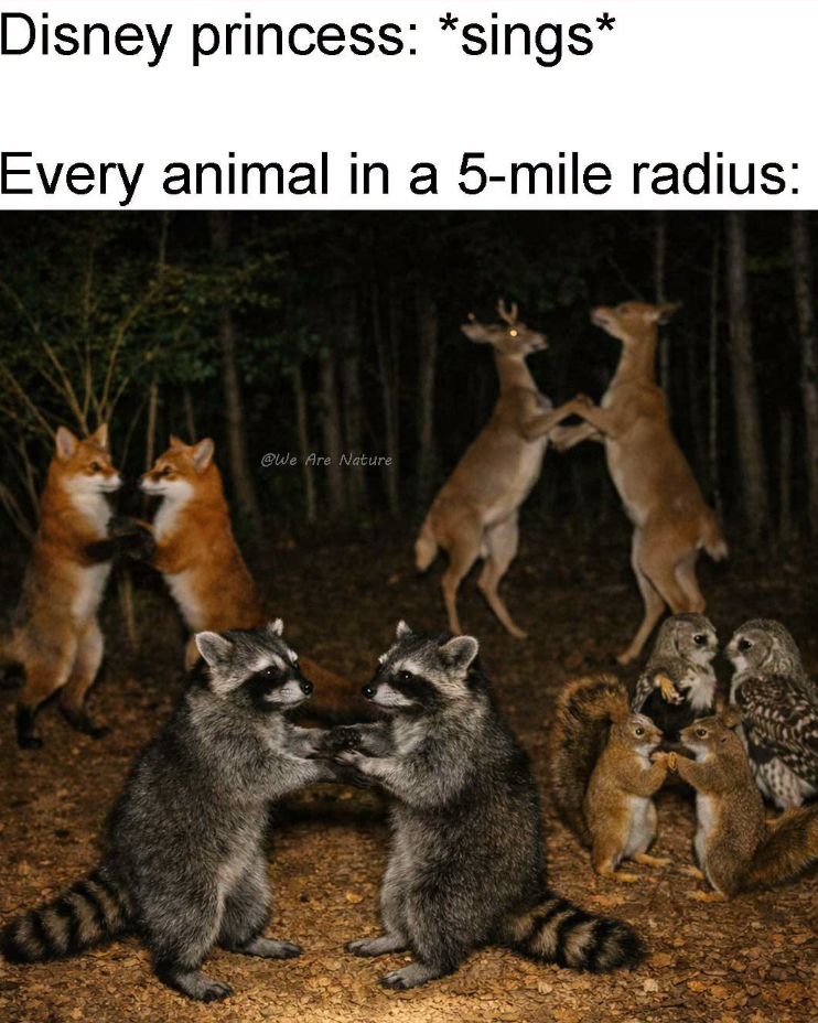 Disney princess: *sings* Every animal in a 5-mile radius: @We Are Nature