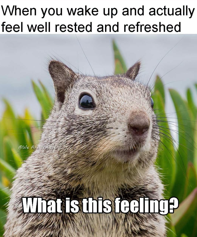 When you wake up and actually feel well rested and refreshed @We Are Nature What is this feeling?