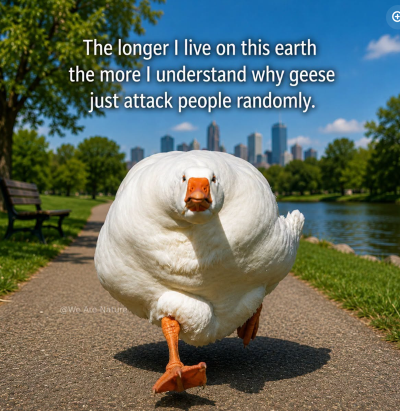The longer I live on this earth the more I understand why geese just attack people randomly. @We Are Nature +