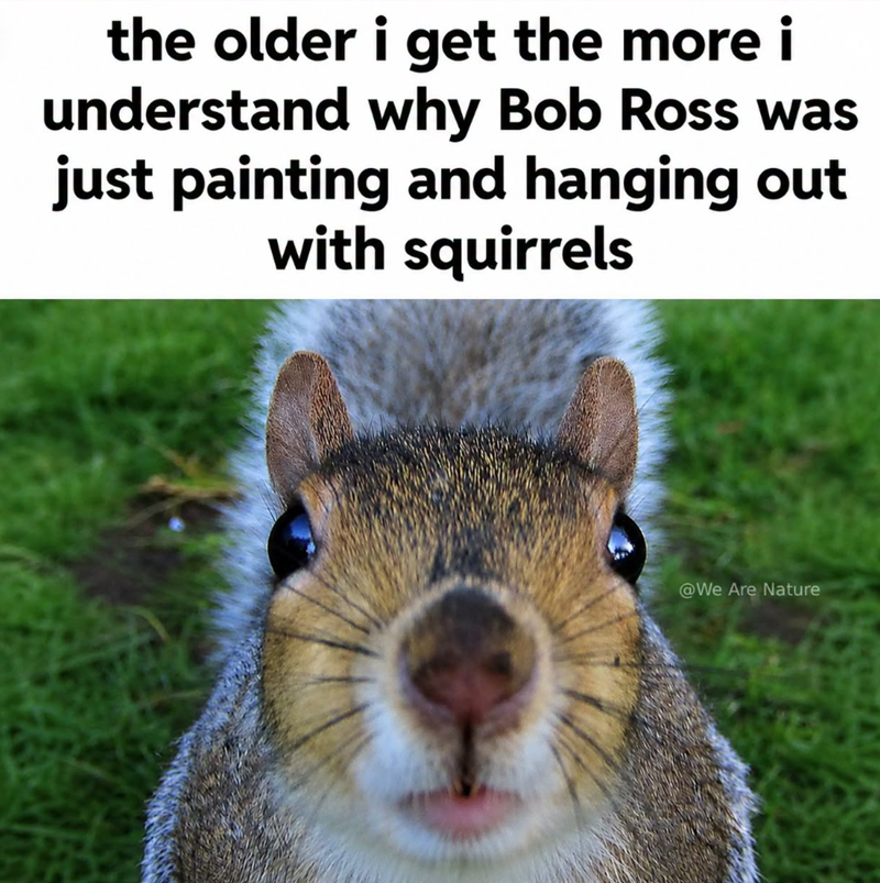 the older i get the more i understand why Bob Ross was just painting and hanging out with squirrels @We Are Nature