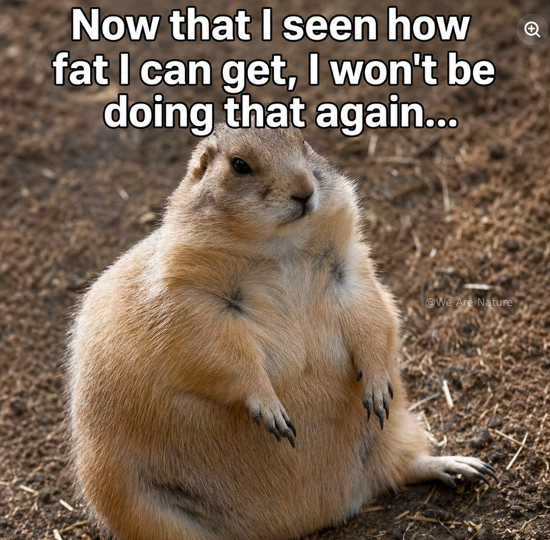 Now that I seen how fat I can get, I won't be doing that again... @We Are Nature