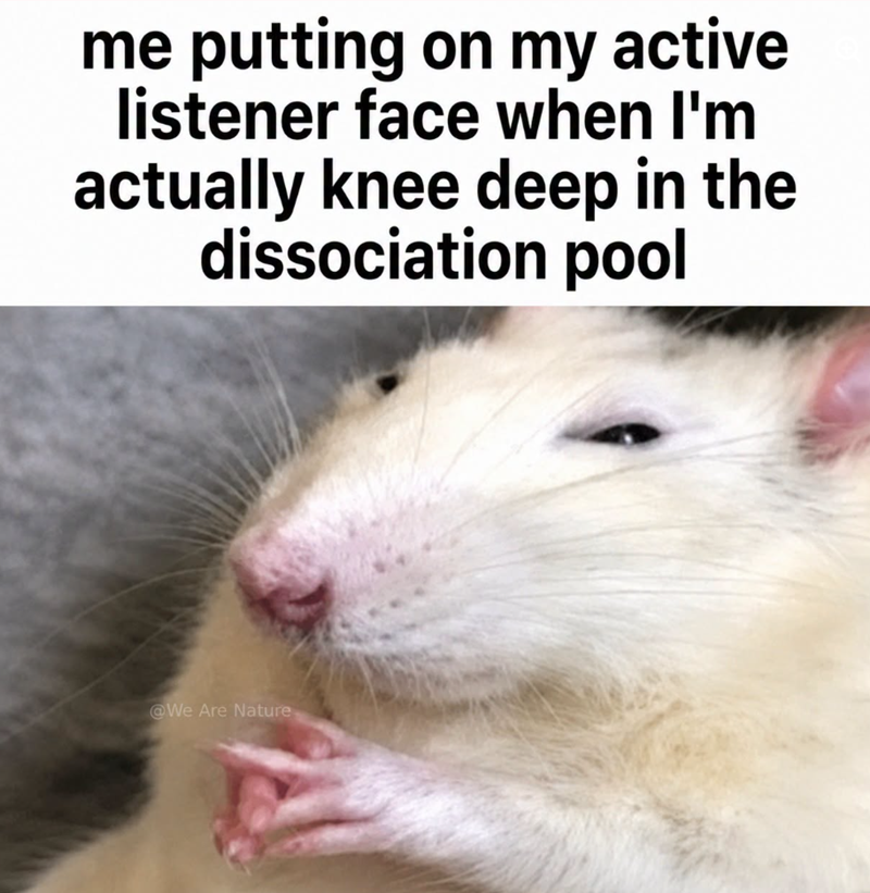 me putting on my active listener face when I'm actually knee deep in the dissociation pool @We Are Nature