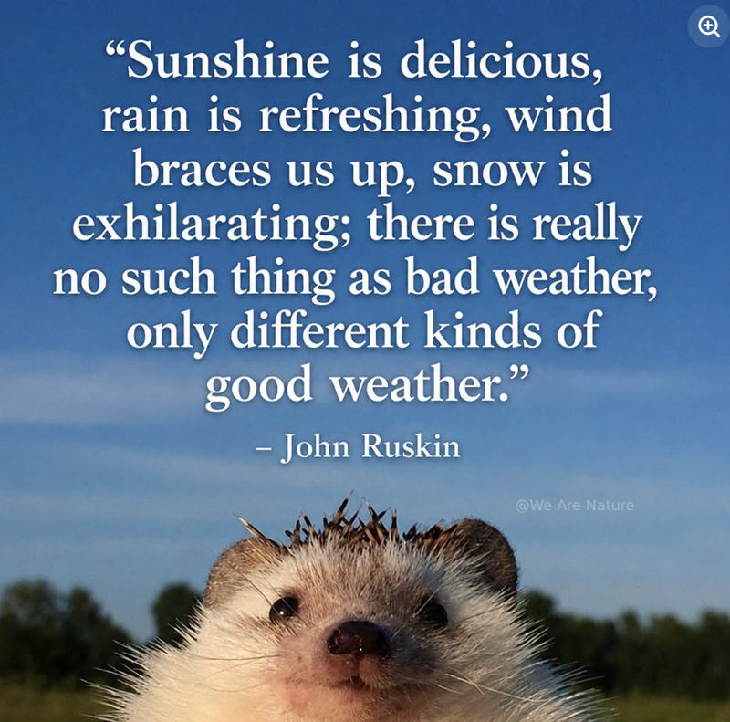 "Sunshine is delicious, rain is refreshing, wind braces us up, snow is exhilarating; there is really no such thing as bad weather, only different kinds of good weather." - John Ruskin @We Are Nature