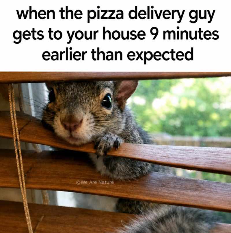 when the pizza delivery guy gets to your house 9 minutes earlier than expected @We Are Nature