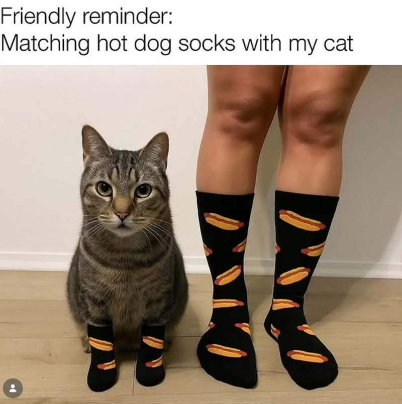 Friendly reminder: Matching hot dog socks with my cat