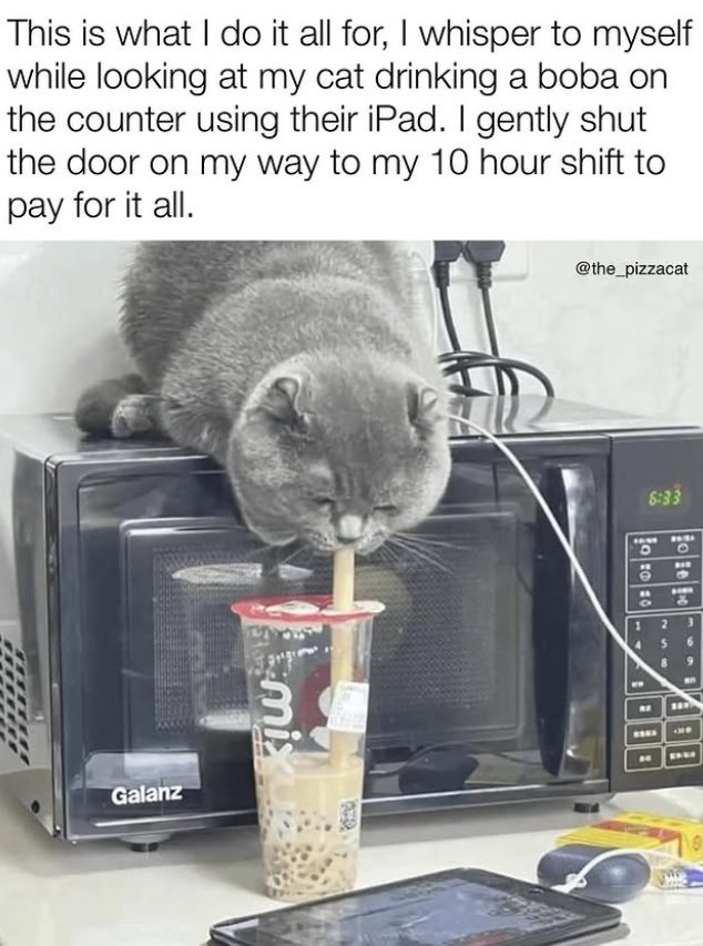 This is what I do it all for, I whisper to myself while looking at my cat drinking a boba on the counter using their iPad. I gently shut the door on my way to my 10 hour shift to pay for it all. calanz mix @the_pizzacat 8:33 0 10 10 о BAY 9 &