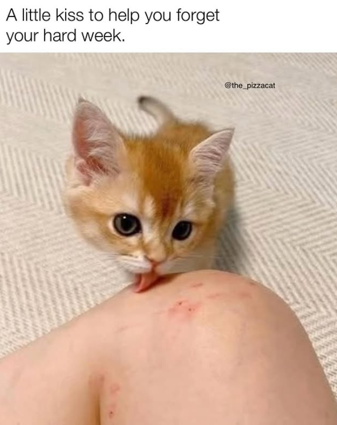 A little kiss to help you forget your hard week. @the_pizzacat