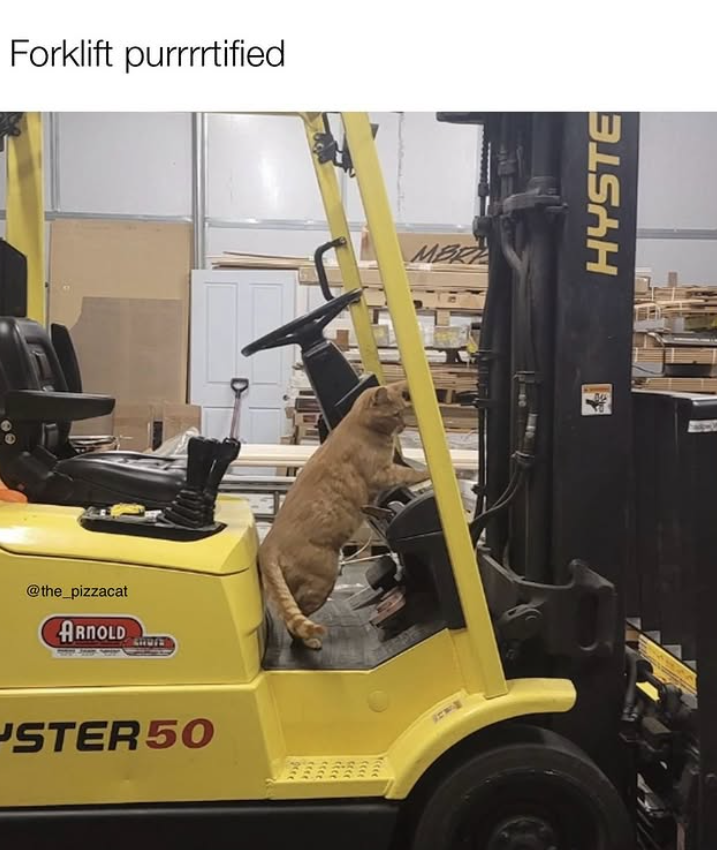 @the_pizzacat ARNOLD STER50 Forklift purrrrtified MBRI 500 HYSTE