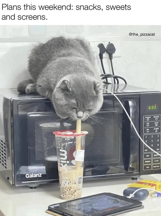 Plans this weekend: snacks, sweets and screens. calanz mix @the_pizzacat 6:33 2634 D о BAY 10 " 9 5 6 258