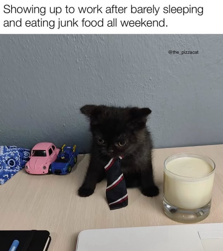 Showing up to work after barely sleeping and eating junk food all weekend. @the_pizzacat